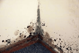 WATER_DAMAGES